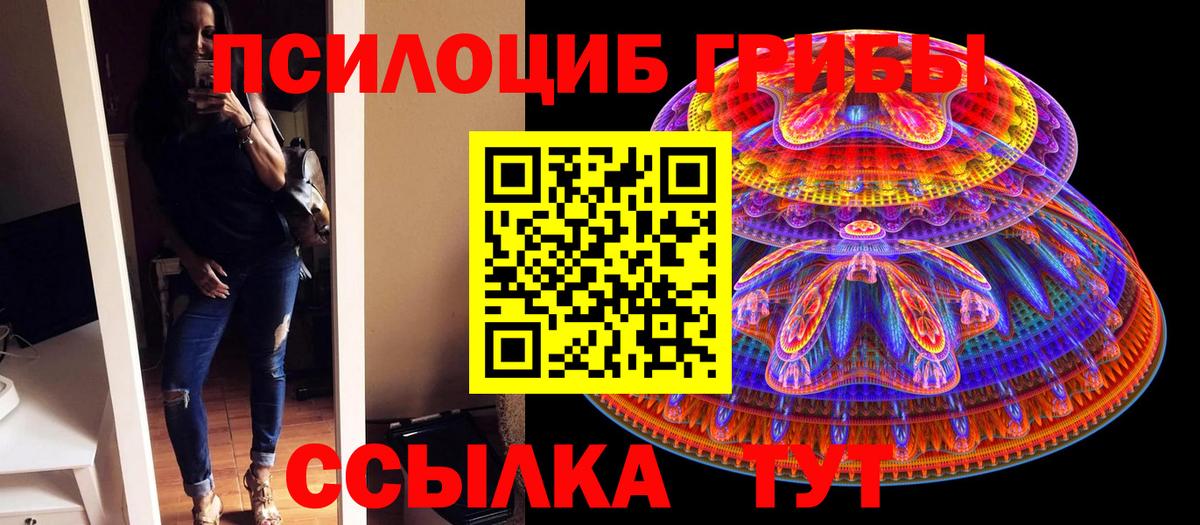 Псилоцибиновые грибы Magic Shrooms Богданович