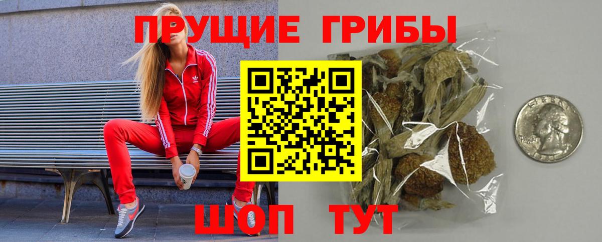 Богданович  где можно купить наркотик  Псилоцибиновые грибы Magic Shrooms  Вход с VPN  Галлюциногенные грибы мухоморы 